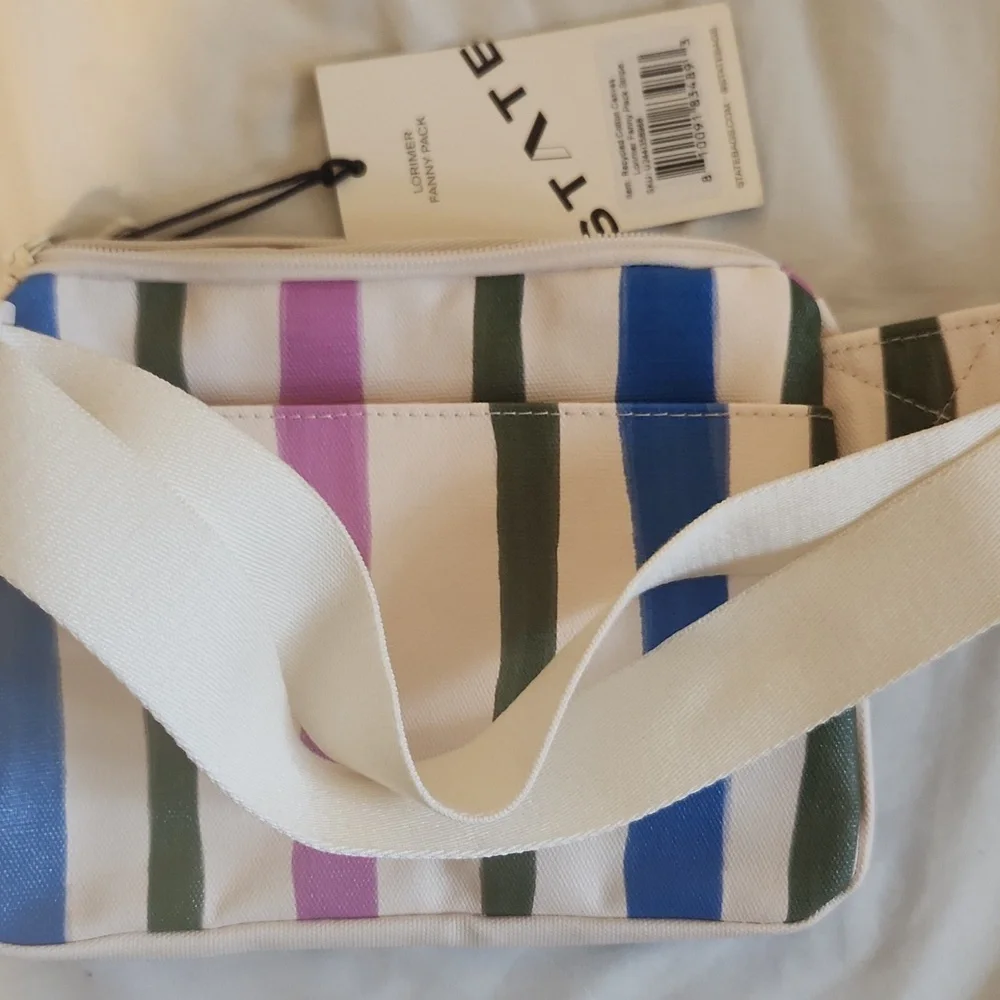 STATE Lorimer Fanny Pack with Pink, Blue, and Green Stripes
